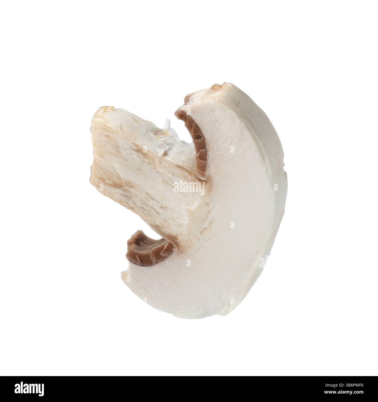 Un morceau de champignon frais isolé sur blanc Banque D'Images