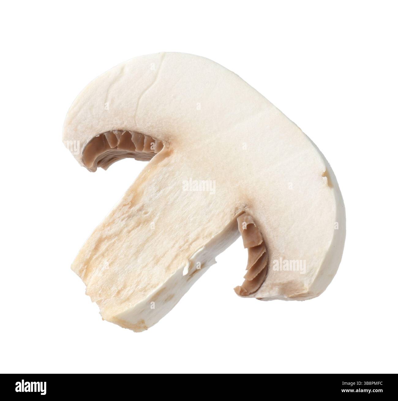 Un morceau de champignon frais isolé sur blanc Banque D'Images