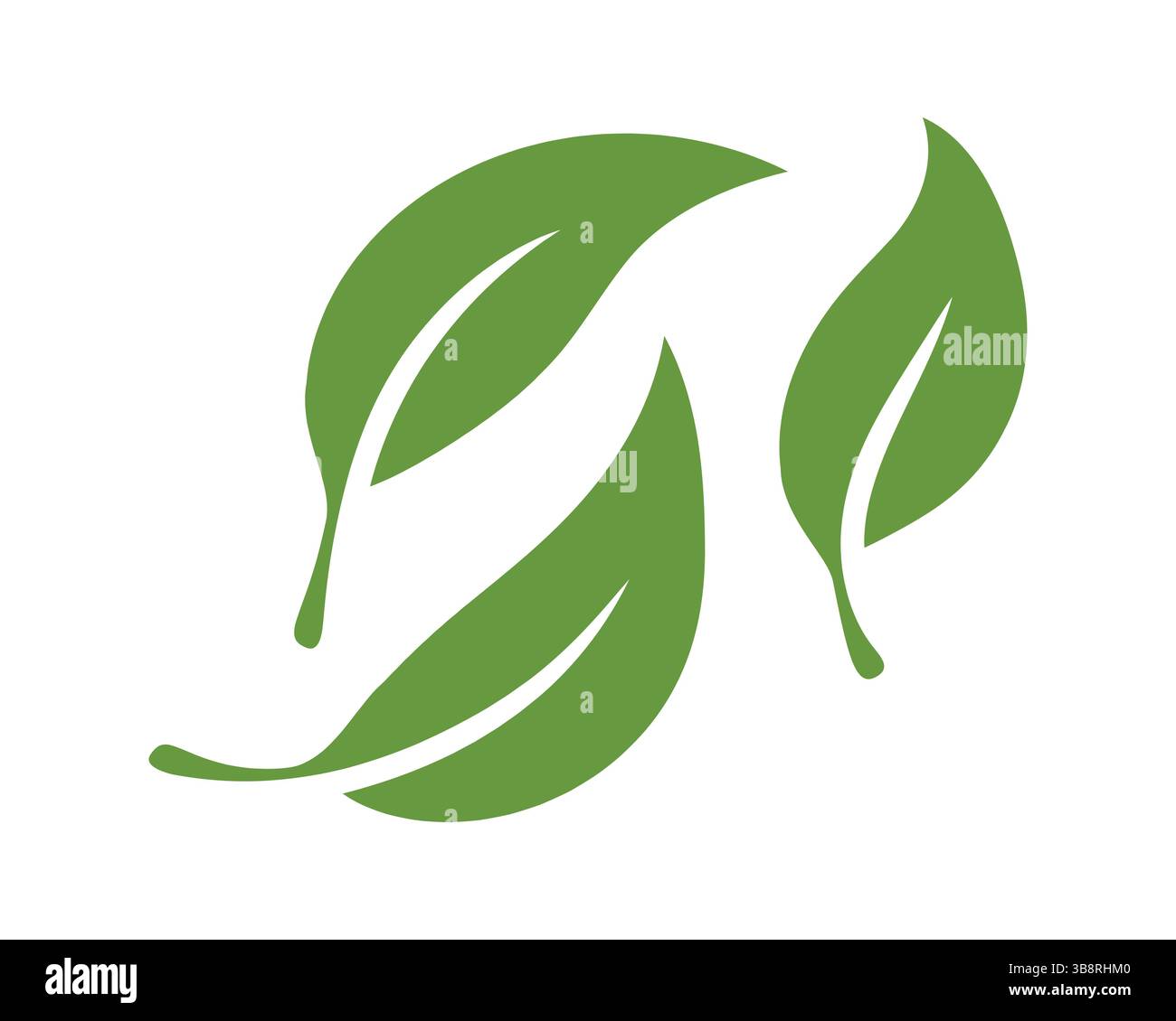 Trois feuilles vertes simples et stylisées sur fond blanc. Représente la nature, la croissance, la santé et la conscience environnementale. Idéal pour le produ écologique Illustration de Vecteur