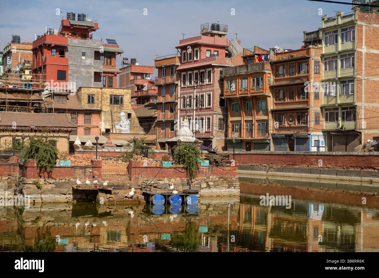 Patan, Népal : les canards se rassemblent près d'un étang reflétant l'architecture de la ville, créant une scène urbaine sereine. Banque D'Images