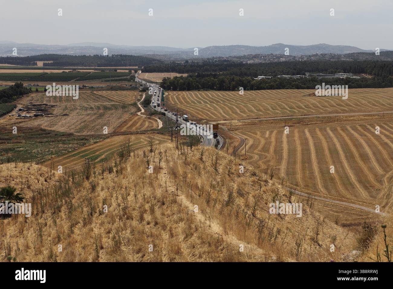 Route & trafic, champs, vergers, agriculture dans la vallée de Jezreel ou la vallée d'Armageddon & les montagnes Samarian comme vu de tel Megiddo. Banque D'Images