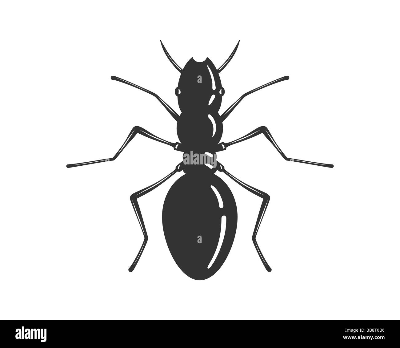 Illustration vectorielle détaillée d'une fourmi, isolée. Symbole du travail d'équipe, de la persévérance et de la diligence. Idéal pour les projets scientifiques, éducatifs ou de conception Illustration de Vecteur