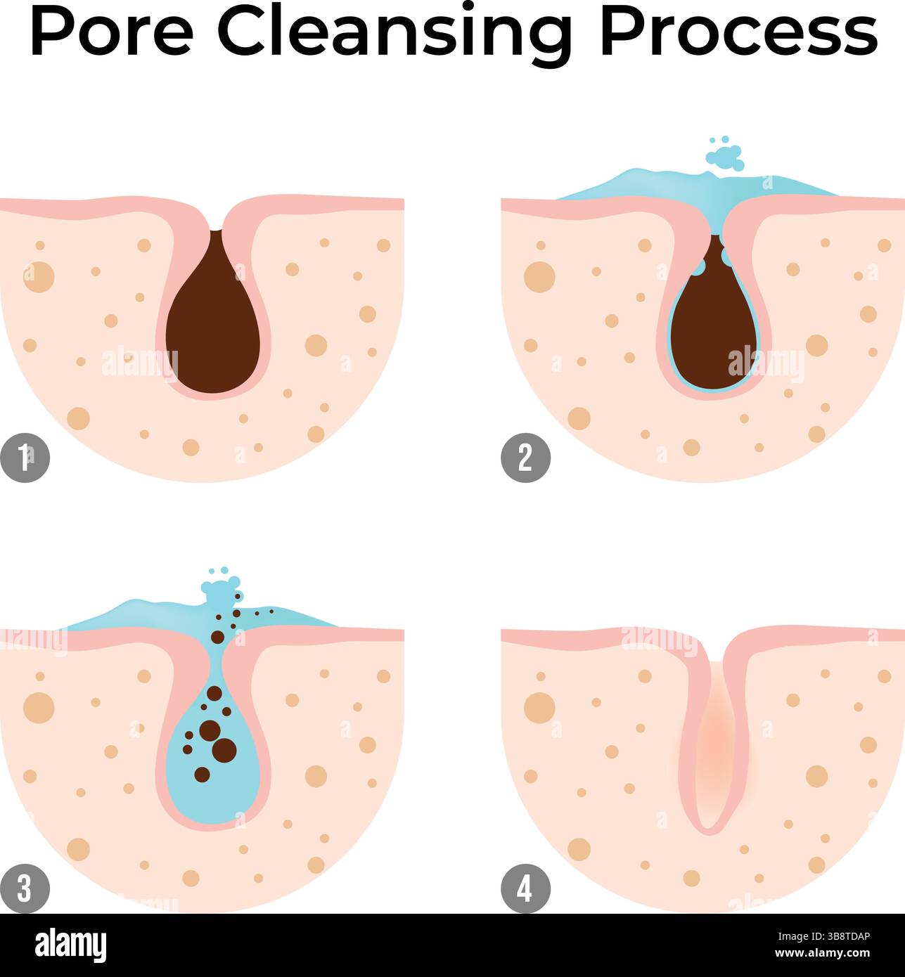Processus de nettoyage des pores : une illustration vectorielle de conception de guide étape par étape Illustration de Vecteur