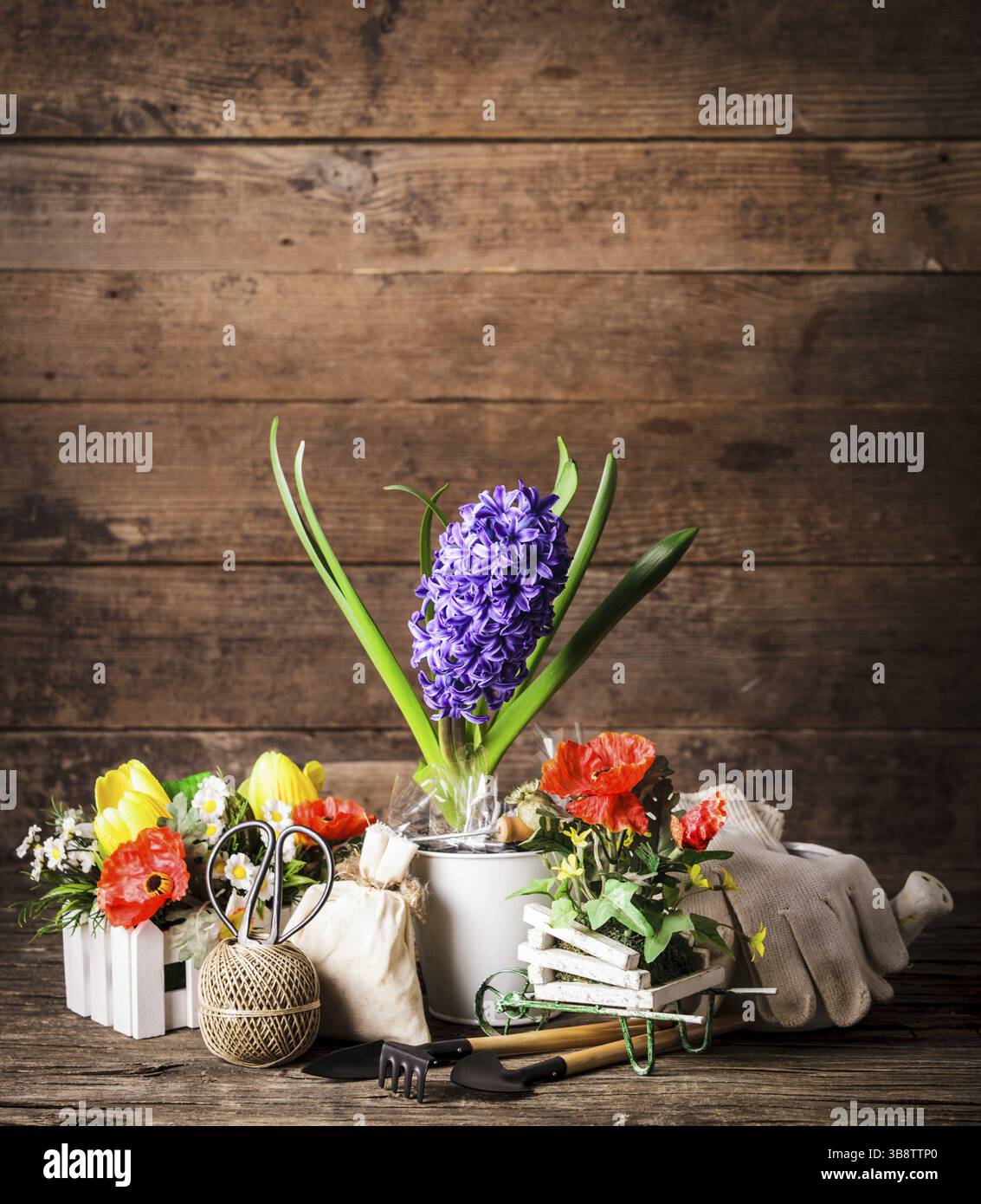 Outils de jardin pour les fleurs sur fond de bois Banque D'Images