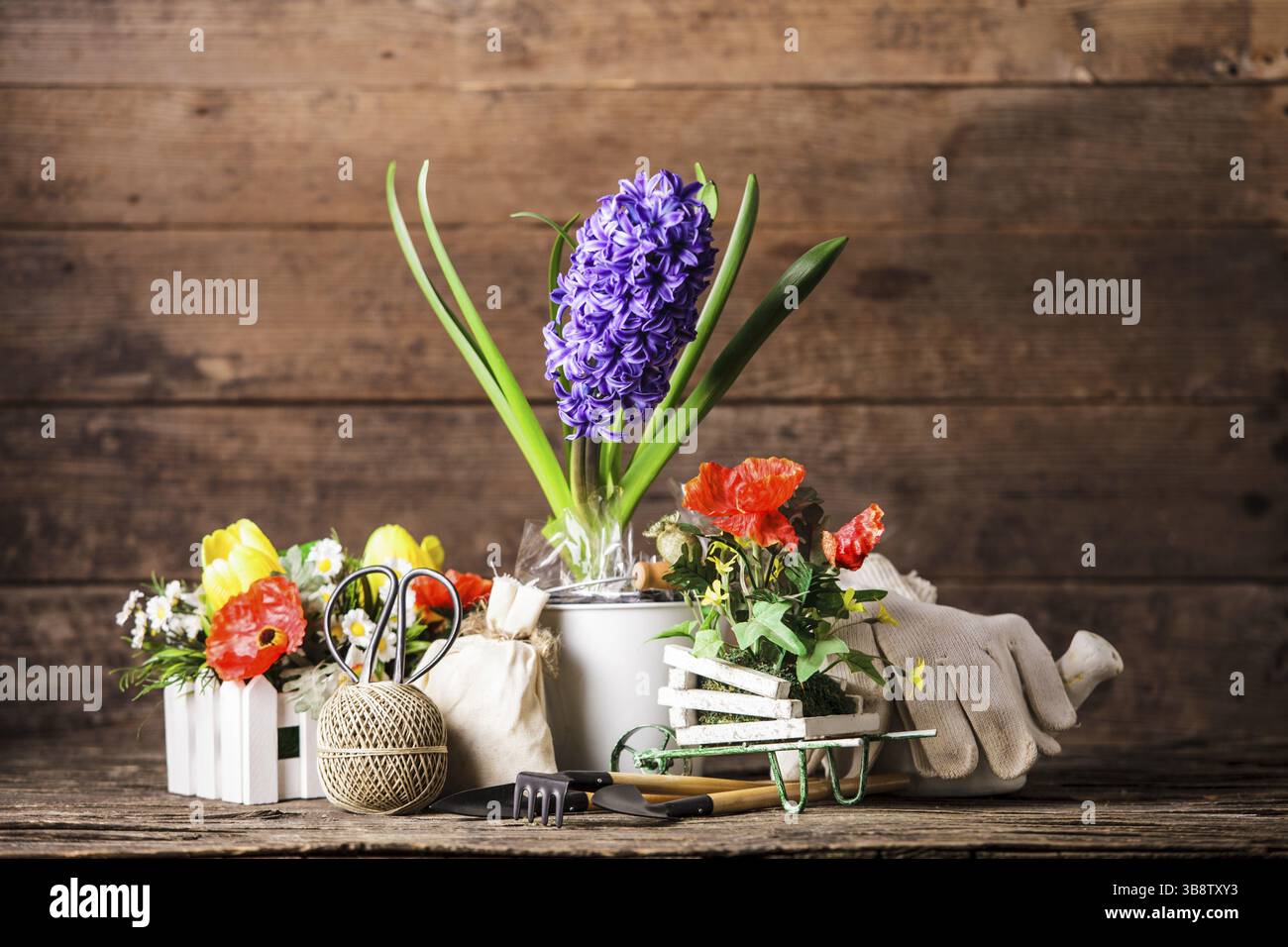 Outils de jardin pour les fleurs sur fond de bois Banque D'Images