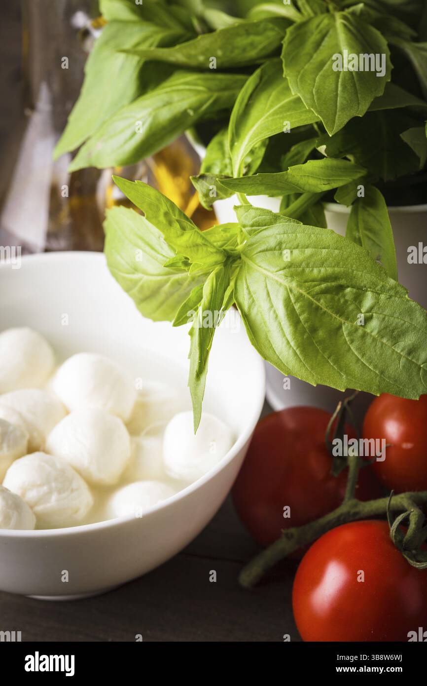 Ingrédients pour salade caprese : tomate, mozzarella, basilic frais, huile d'olive, épices Banque D'Images Ingrédients pour salade caprese : tomate, mozzarella, basilic frais, huile d'olive, épices Banque D'Images
