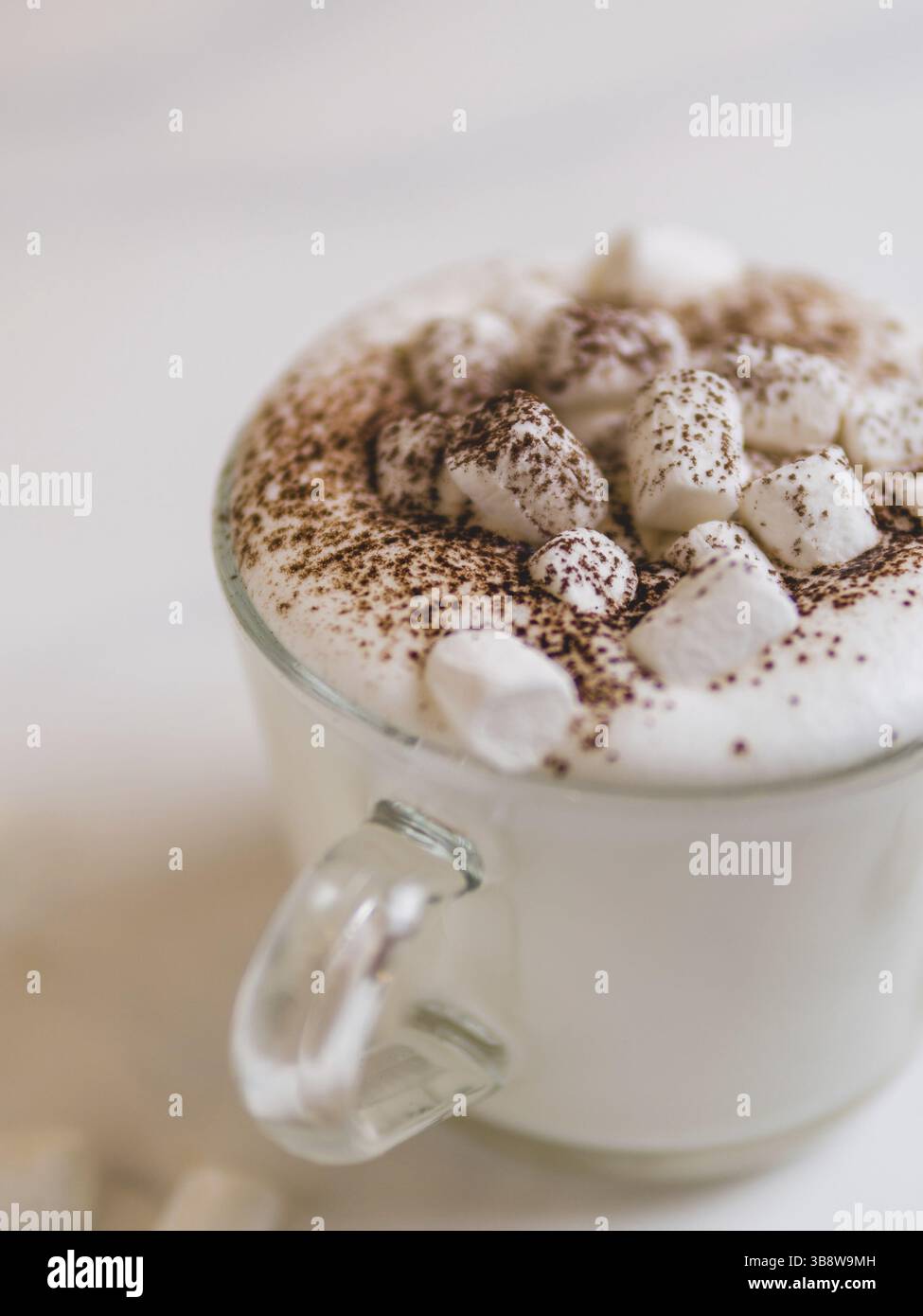 Babyccino - lait fouetté ou crème avec cacao ou cannelle en poudre et guimauve. Idée et recette pour les enfants boire - lait fouetté chaud, sans café. B Banque D'Images