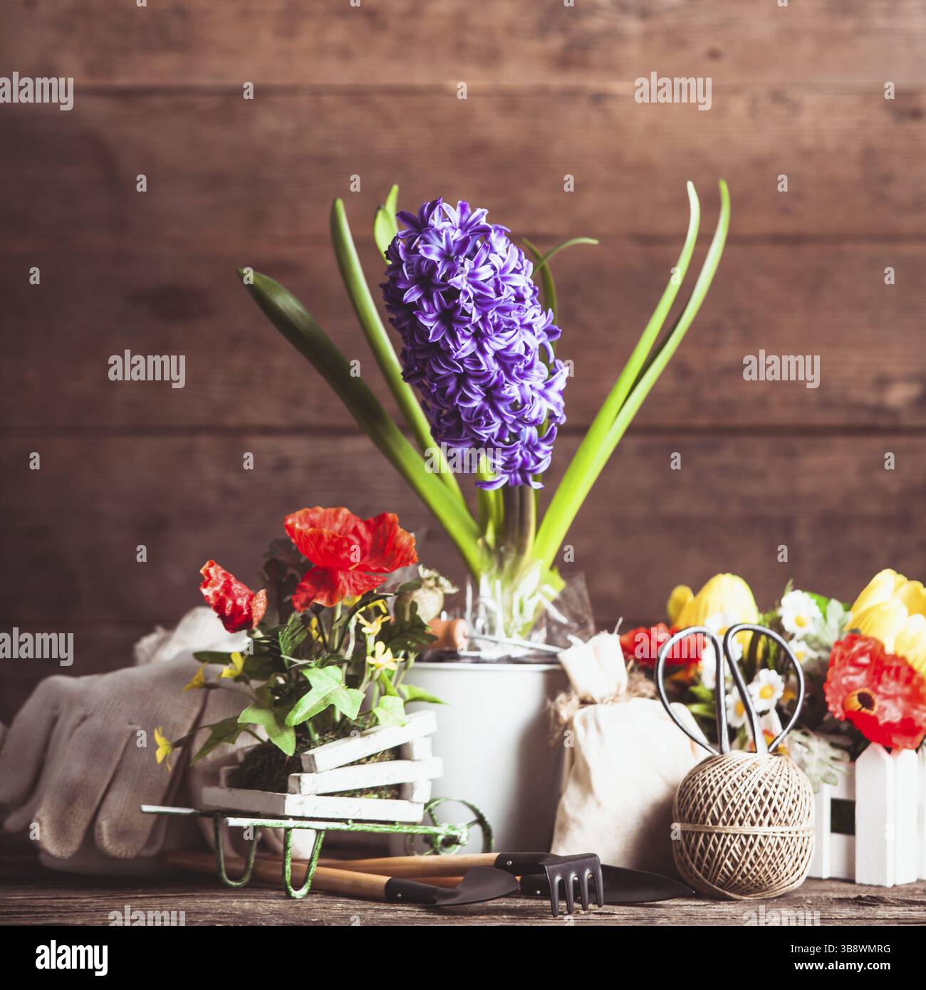 Outils de jardin pour les fleurs sur fond de bois Banque D'Images