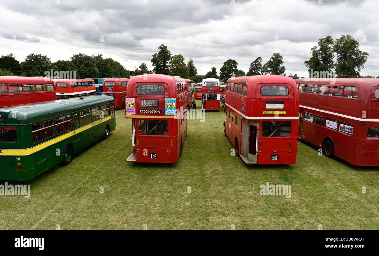 Rallye de bus, Alton, Hampshire, Royaume-Uni Banque D'Images