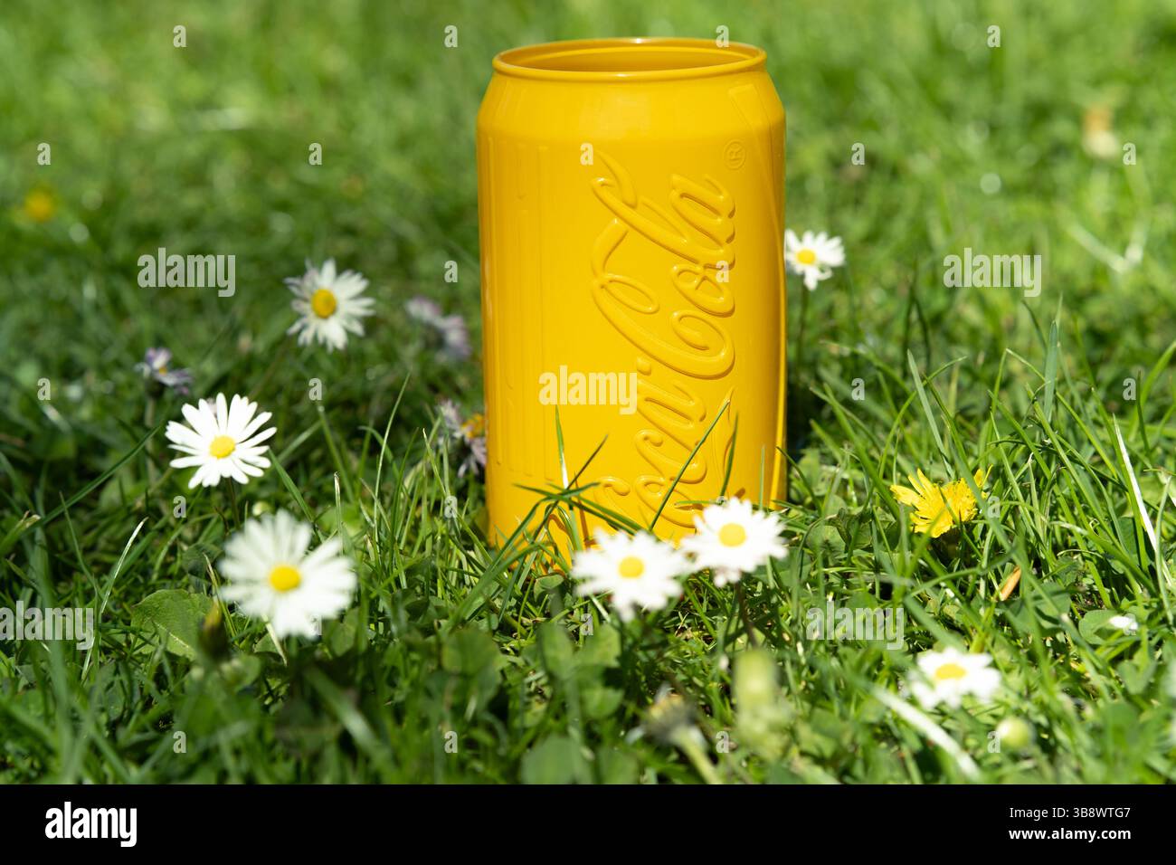Boîte Coca-Cola® jaune vif avec logo en relief sur herbe verte luxuriante, entourée de marguerites blanches et de fleurs sauvages, concept de fraîcheur estivale Banque D'Images