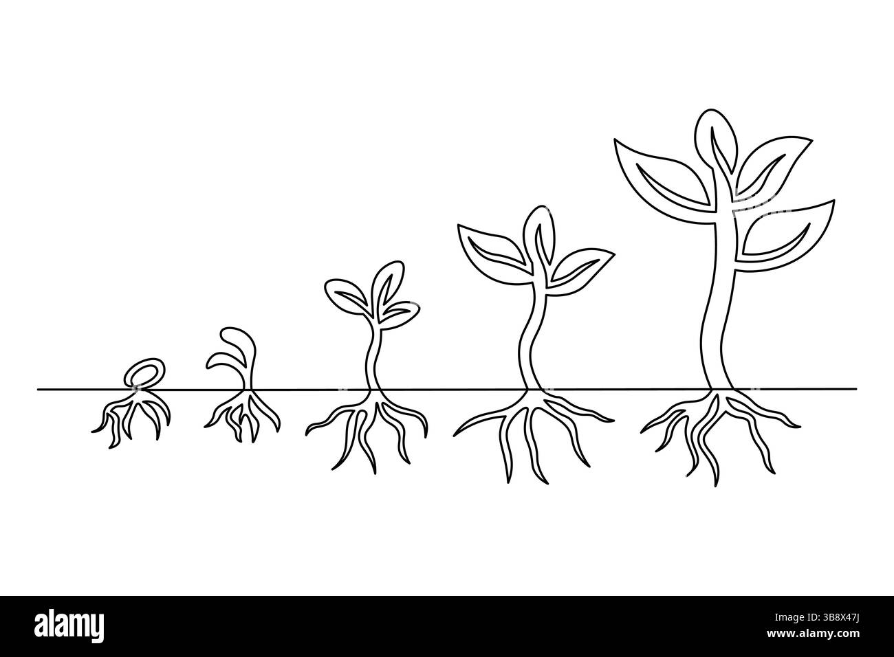 Minimaliste One Line dessin végétal élégant Art botanique pour nature Inspired Design. Vecteur Illustration de Vecteur