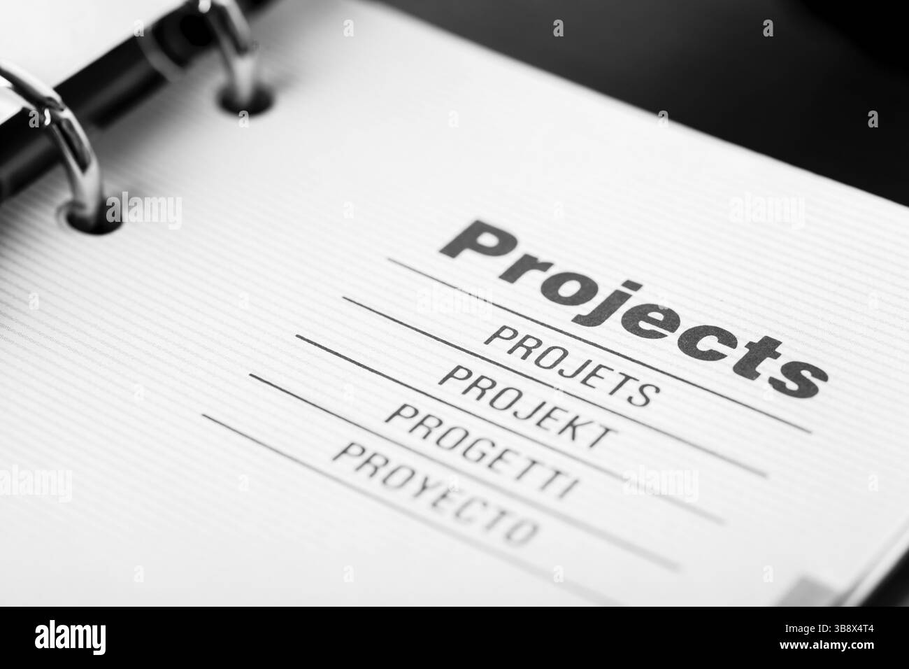 Le mot projets dans différentes langues en gros plan organizer Banque D'Images