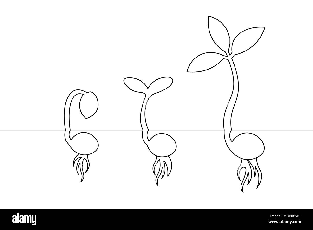 Minimaliste One Line dessin végétal élégant Art botanique pour nature Inspired Design. Vecteur Illustration de Vecteur