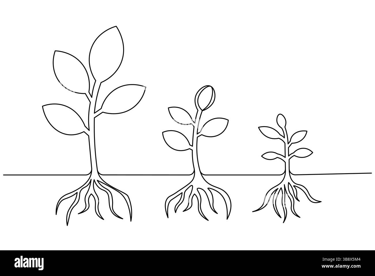 Minimaliste One Line dessin végétal élégant Art botanique pour nature Inspired Design. Vecteur Illustration de Vecteur