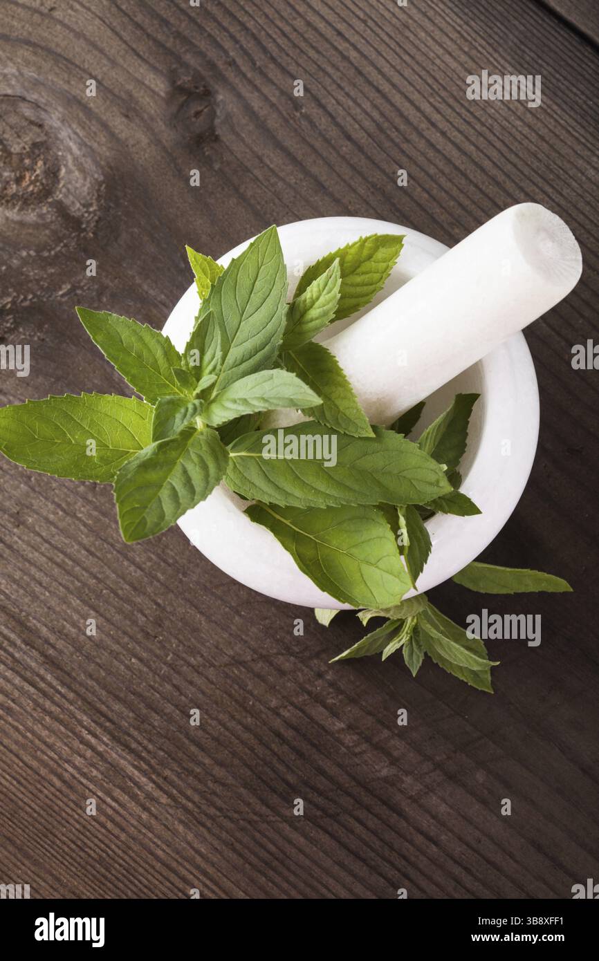 La menthe verte fraîche dans le mortier sur fond closeup Banque D'Images