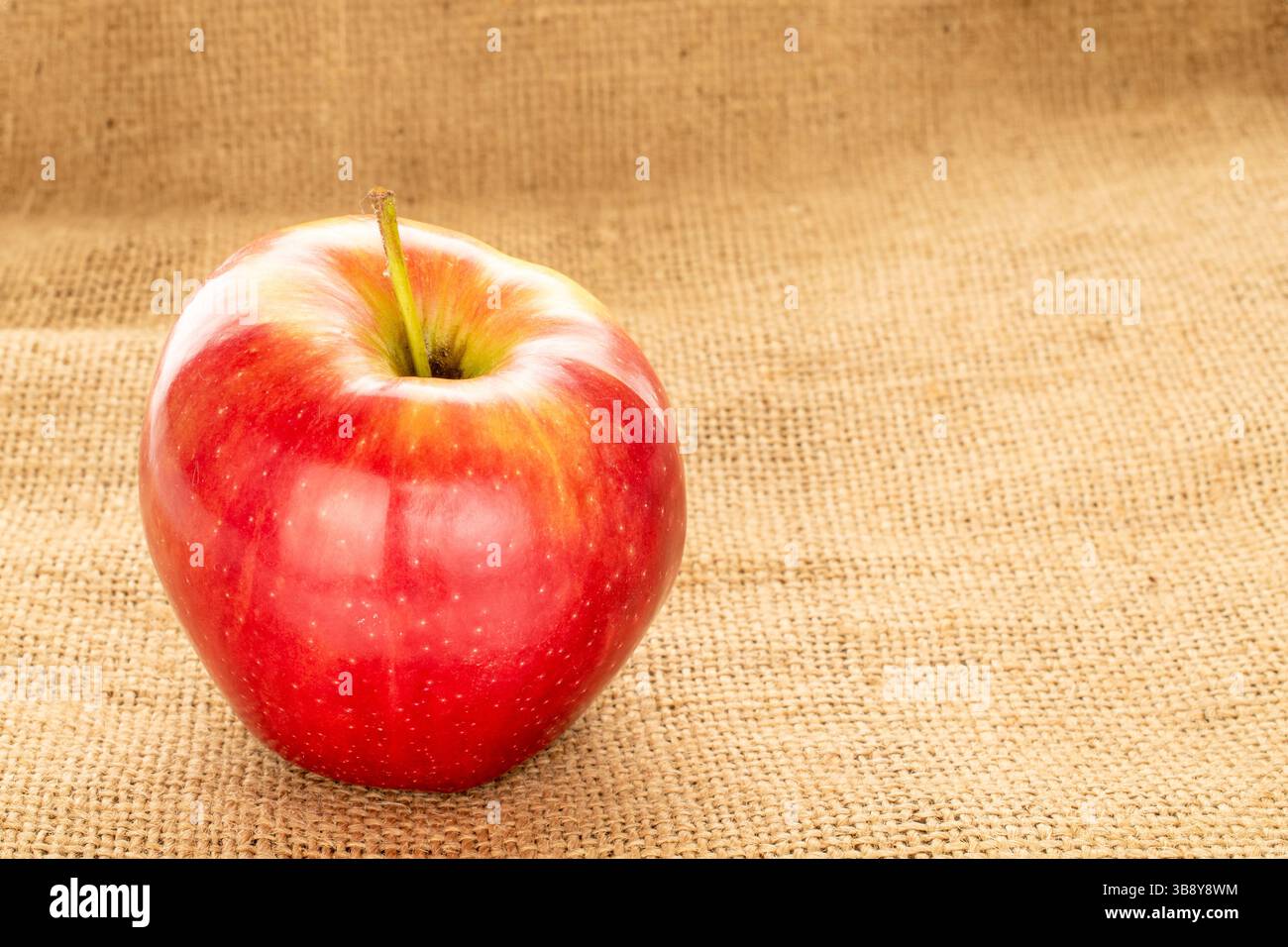 Une pomme juteuse rouge sur toile de jute, macro. Banque D'Images