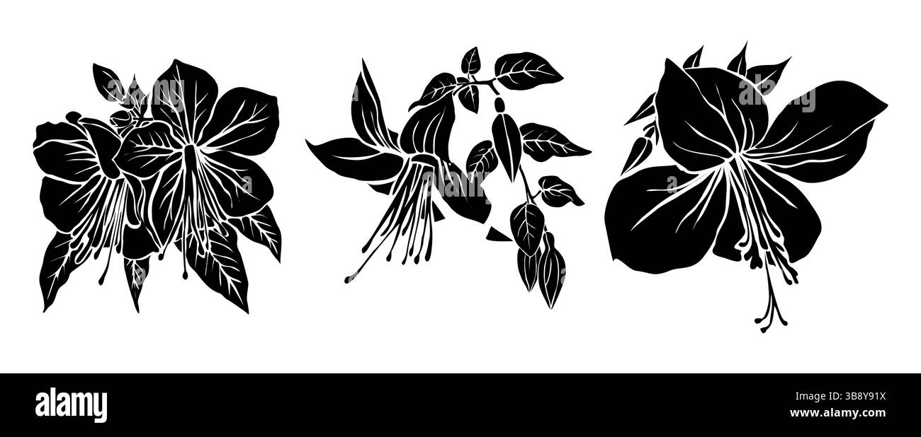 Ensemble de silhouettes plates de fleurs fuchsia vecteur. Illustration de Vecteur