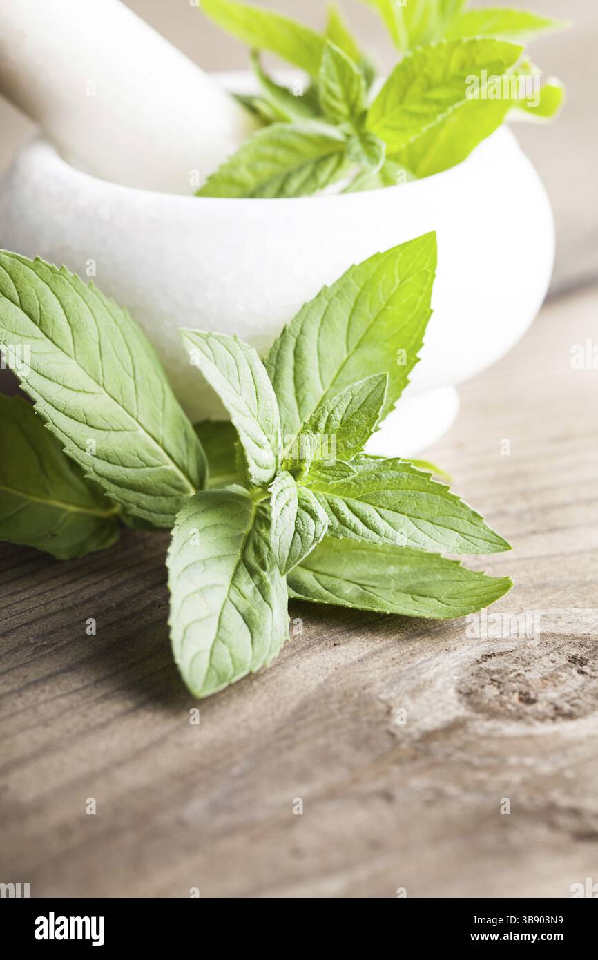 La menthe verte fraîche dans le mortier sur fond closeup Banque D'Images
