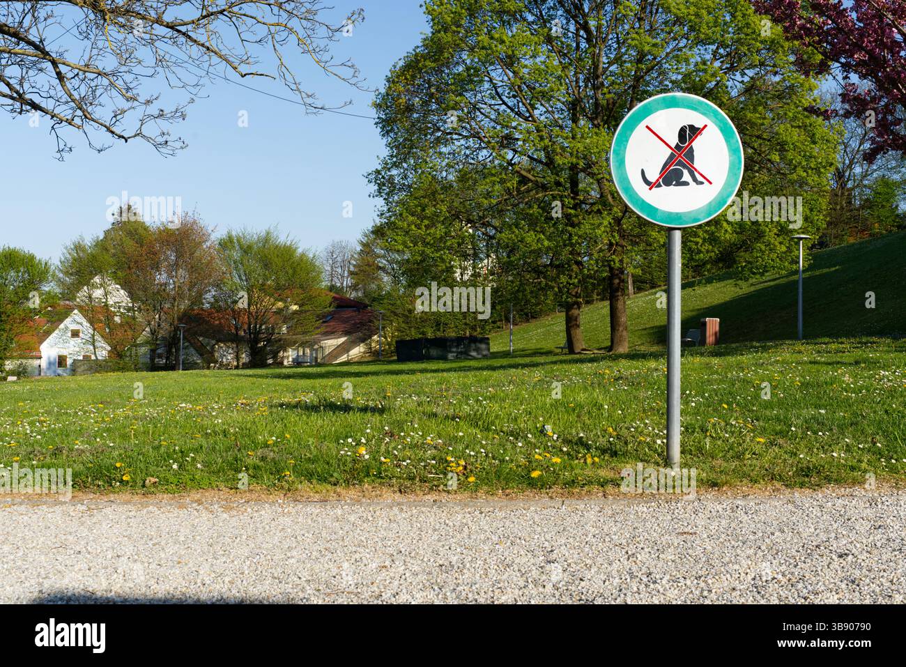 Cette image capture un parc tranquille avec une végétation luxuriante et un signe clair interdisant les chiens. Banque D'Images