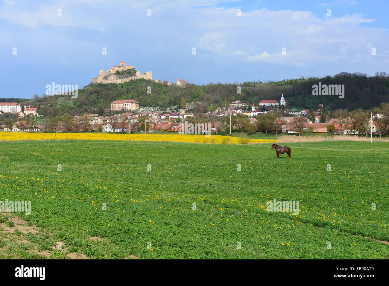 Vue sur la ville de Rupea en Transylvanie avec sa citadelle au sommet en arrière-plan Banque D'Images