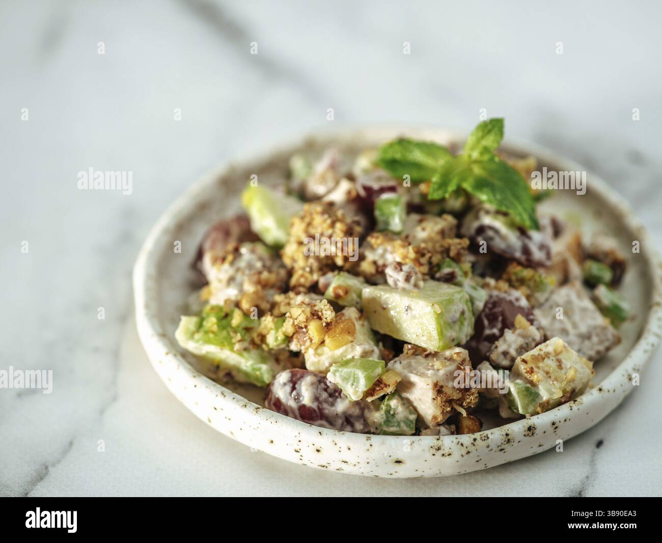 Salade Waldorf avec espace de copie. Salade américaine de fruits et de noix avec pommes, céleri, raisins, viande de poulet, mayonnaise habillée. Assiette de bricolage avec prêt-à-l'emploi Banque D'Images