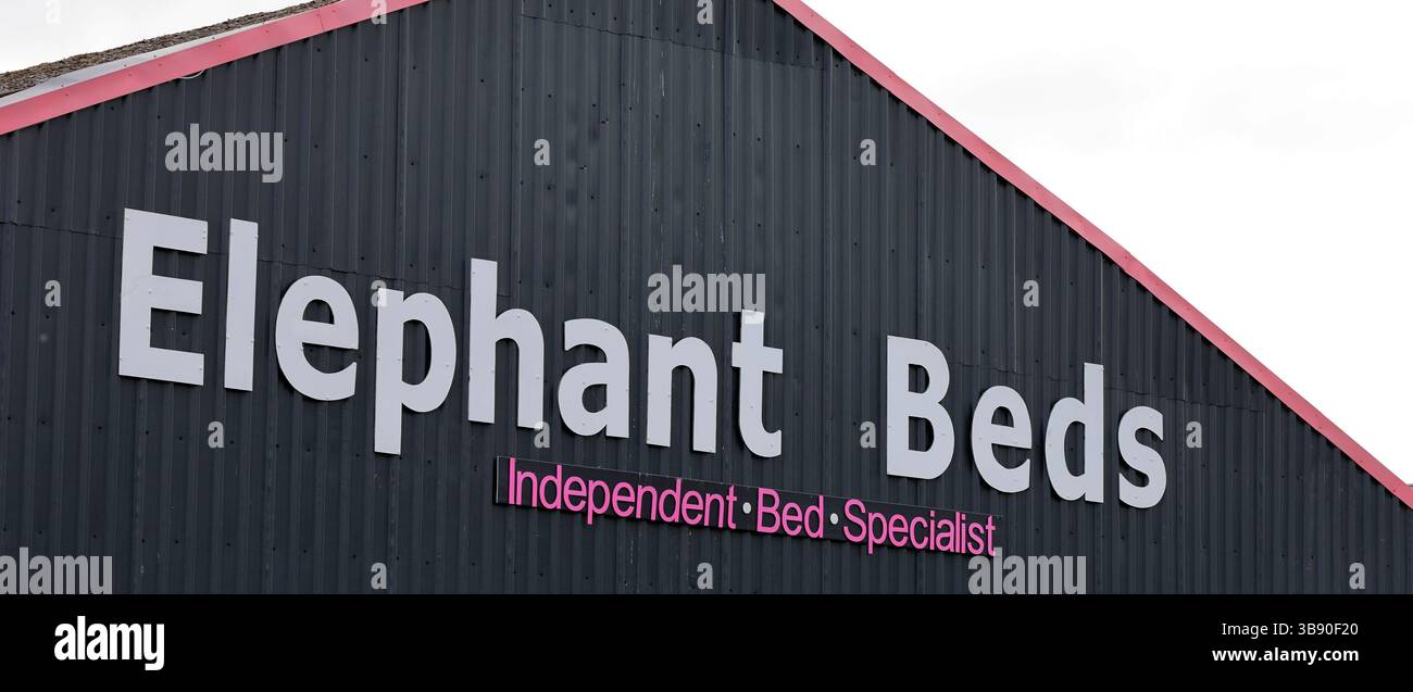 Devant du magasin Elephant Beds, Cardiff, pays de Galles du Sud. Prise 2025 printemps Banque D'Images