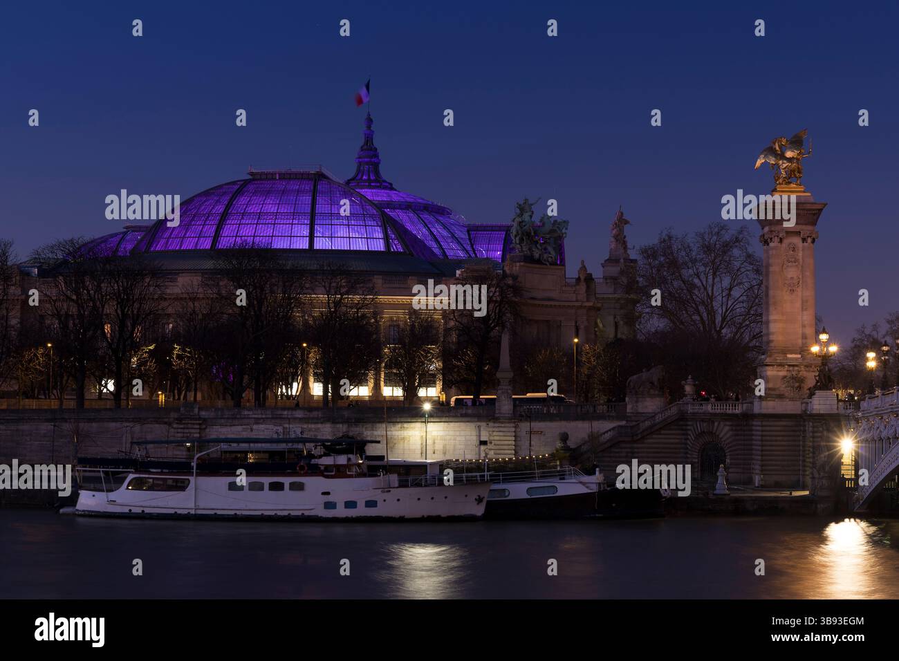 Grand palais à Paris, France Banque D'Images