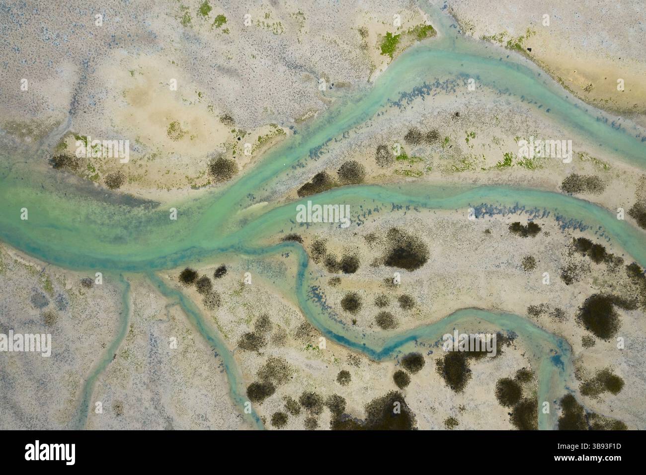 Baie de Plouharnel, Bretagne, France Banque D'Images