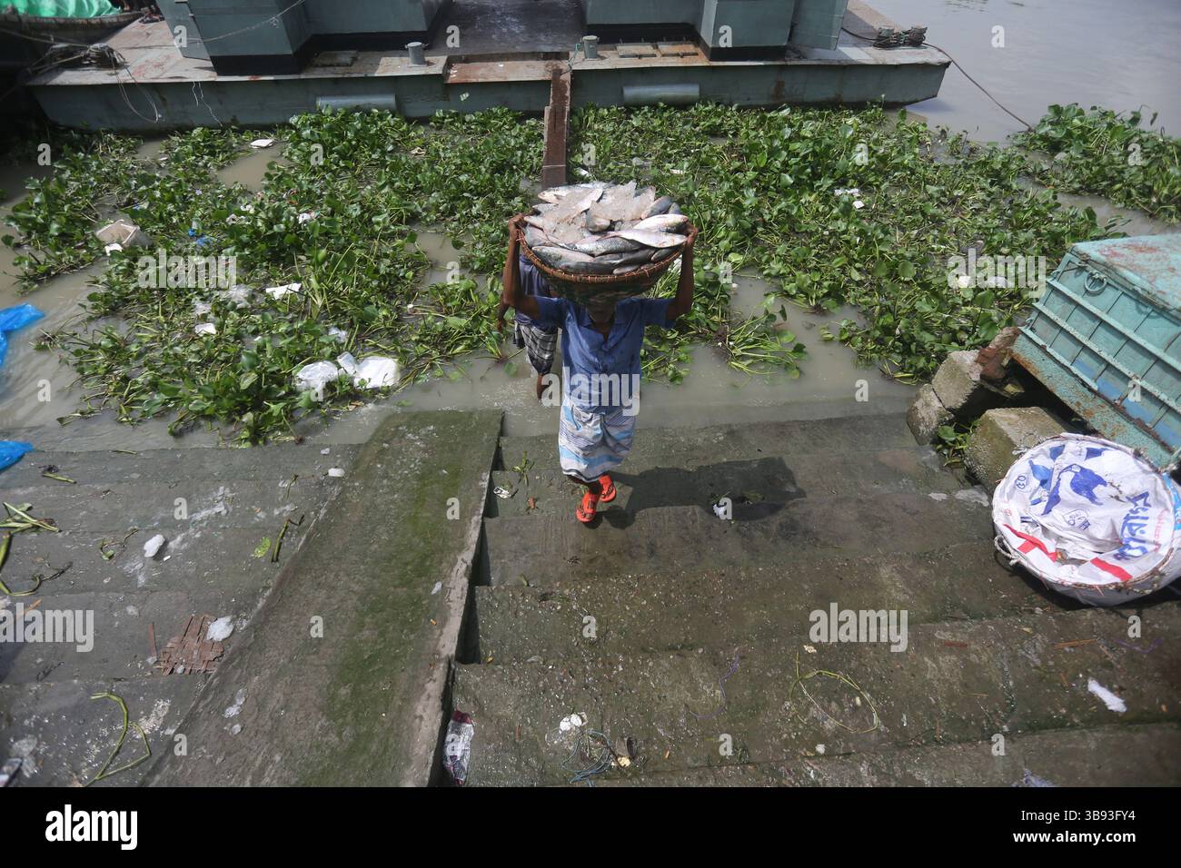 22 août 2023, Chandpur, Chandpur, Bangladesh : les travailleurs apportent du poisson au marché aux poissons de Chandpur, le plus grand marché de gros de poisson Hilsha au Bangladesh. Les Hilshas sont capturés dans la rivière Meghna. Connu localement sous le nom d'Ilish, le poisson a été désigné comme le poisson national du Bangladesh. Hilsa, toujours une délicatesse spéciale dans un ménage bengali est préparé de différentes manières. (Crédit image : © Habibur Rahman/ZUMA Press Wire) Banque D'Images