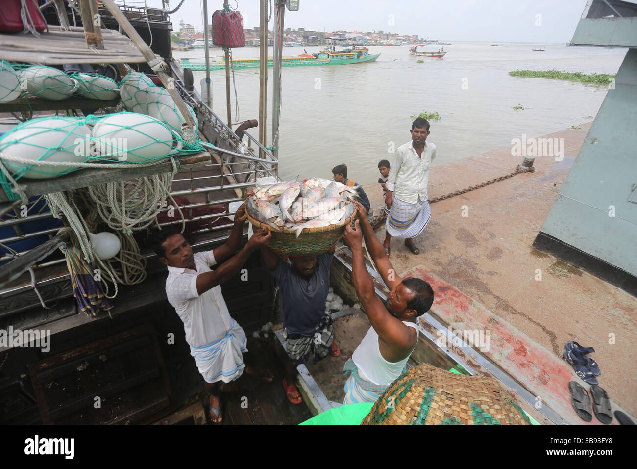 22 août 2023, Chandpur, Chandpur, Bangladesh : les travailleurs apportent du poisson au marché aux poissons de Chandpur, le plus grand marché de gros de poisson Hilsha au Bangladesh. Les Hilshas sont capturés dans la rivière Meghna. Connu localement sous le nom d'Ilish, le poisson a été désigné comme le poisson national du Bangladesh. Hilsa, toujours une délicatesse spéciale dans un ménage bengali est préparé de différentes manières. (Crédit image : © Habibur Rahman/ZUMA Press Wire) Banque D'Images