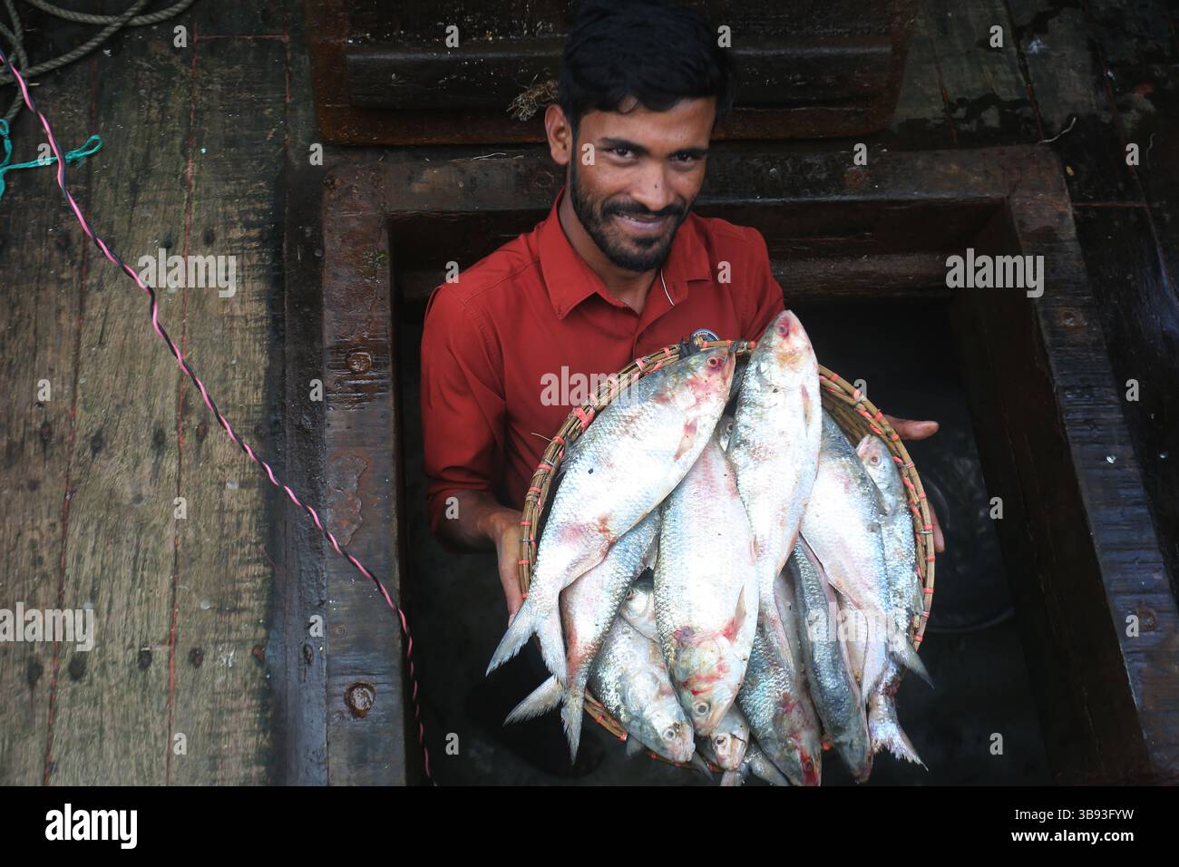 22 août 2023, Chandpur, Chandpur, Bangladesh : les travailleurs apportent du poisson au marché aux poissons de Chandpur, le plus grand marché de gros de poisson Hilsha au Bangladesh. Les Hilshas sont capturés dans la rivière Meghna. Connu localement sous le nom d'Ilish, le poisson a été désigné comme le poisson national du Bangladesh. Hilsa, toujours une délicatesse spéciale dans un ménage bengali est préparé de différentes manières. (Crédit image : © Habibur Rahman/ZUMA Press Wire) Banque D'Images