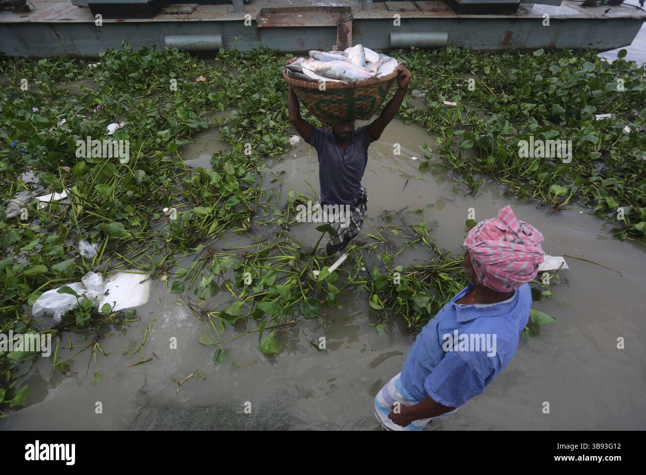 22 août 2023, Chandpur, Chandpur, Bangladesh : les travailleurs apportent du poisson au marché aux poissons de Chandpur, le plus grand marché de gros de poisson Hilsha au Bangladesh. Les Hilshas sont capturés dans la rivière Meghna. Connu localement sous le nom d'Ilish, le poisson a été désigné comme le poisson national du Bangladesh. Hilsa, toujours une délicatesse spéciale dans un ménage bengali est préparé de différentes manières. (Crédit image : © Habibur Rahman/ZUMA Press Wire) Banque D'Images