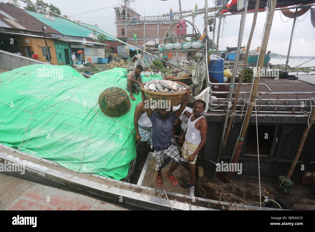 22 août 2023, Chandpur, Chandpur, Bangladesh : les travailleurs apportent du poisson au marché aux poissons de Chandpur, le plus grand marché de gros de poisson Hilsha au Bangladesh. Les Hilshas sont capturés dans la rivière Meghna. Connu localement sous le nom d'Ilish, le poisson a été désigné comme le poisson national du Bangladesh. Hilsa, toujours une délicatesse spéciale dans un ménage bengali est préparé de différentes manières. (Crédit image : © Habibur Rahman/ZUMA Press Wire) Banque D'Images