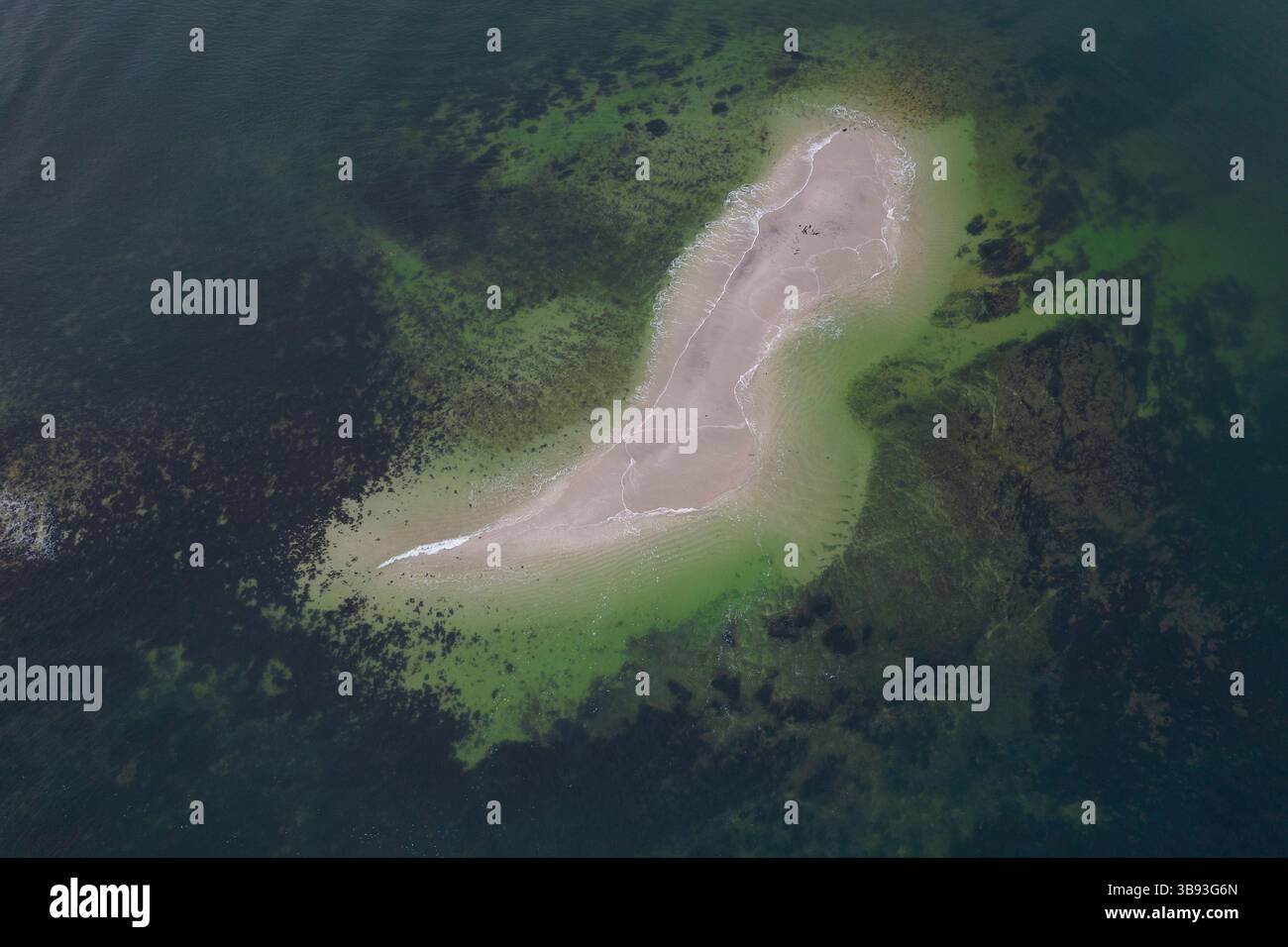 Île de Toul bihan, Bretagne, France Banque D'Images