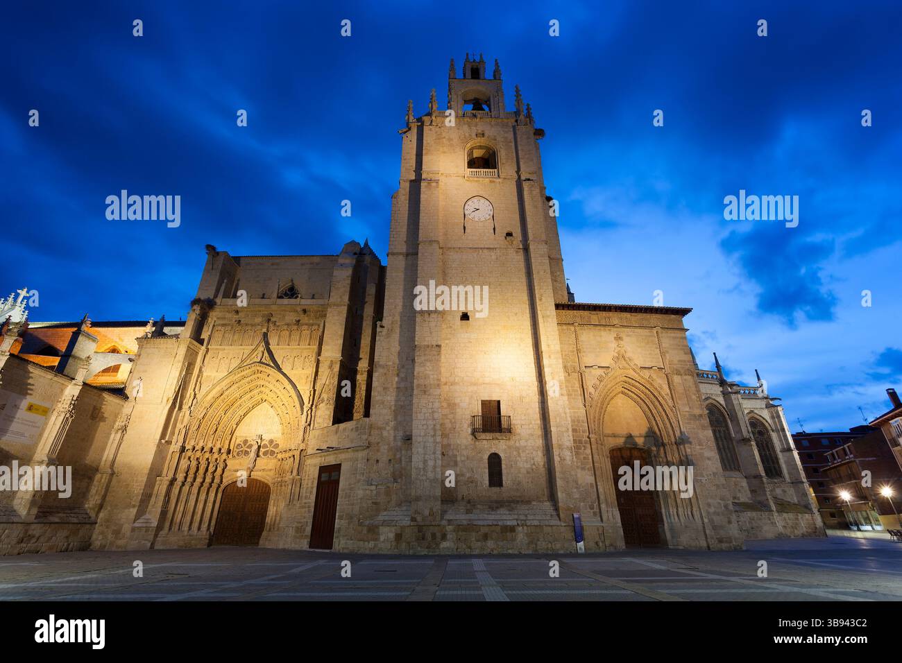 Cathédrale San Antolin, Palencia, Castilla y Leon, Espagne Banque D'Images