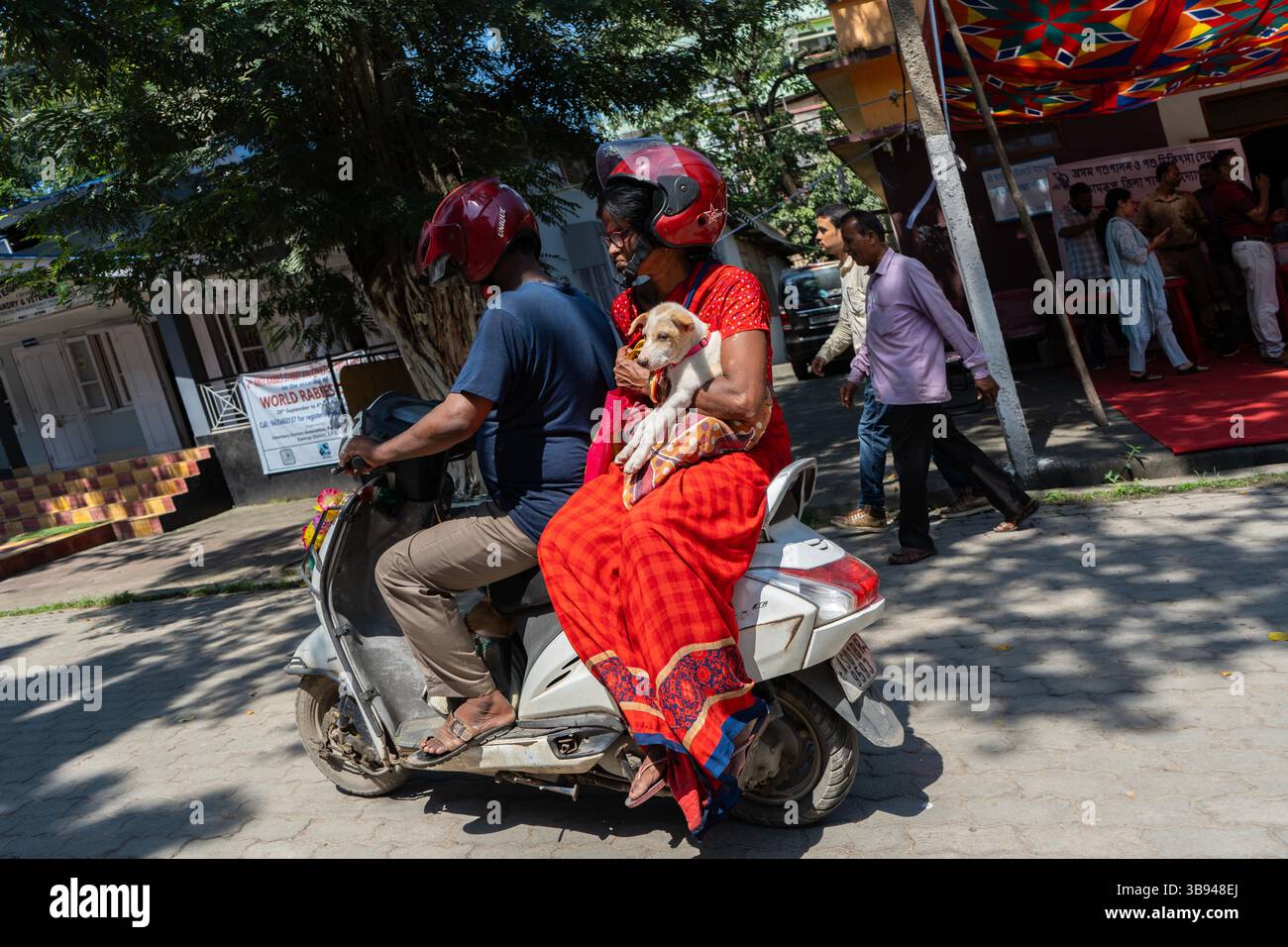 28 septembre 2023 : un homme et une femme reviennent avec leur chien en scooter après avoir administré un vaccin antirabique (ARV) à un gouvernement. Hôpital vétérinaire, lors d’une campagne gratuite de vaccination antirabique, à l’occasion de la Journée mondiale de la rage, organisée par l’Association des médecins vétérinaires et la Fondation Pet Love le 28 septembre 2023 à Guwahati, Assam, Inde. La rage est un virus dangereux qui provoque une inflammation du cerveau. Les animaux peuvent propager la rage aux humains par des morsures et des rayures. (Crédit image : © David Talukdar/ZUMA Press Wire) Banque D'Images