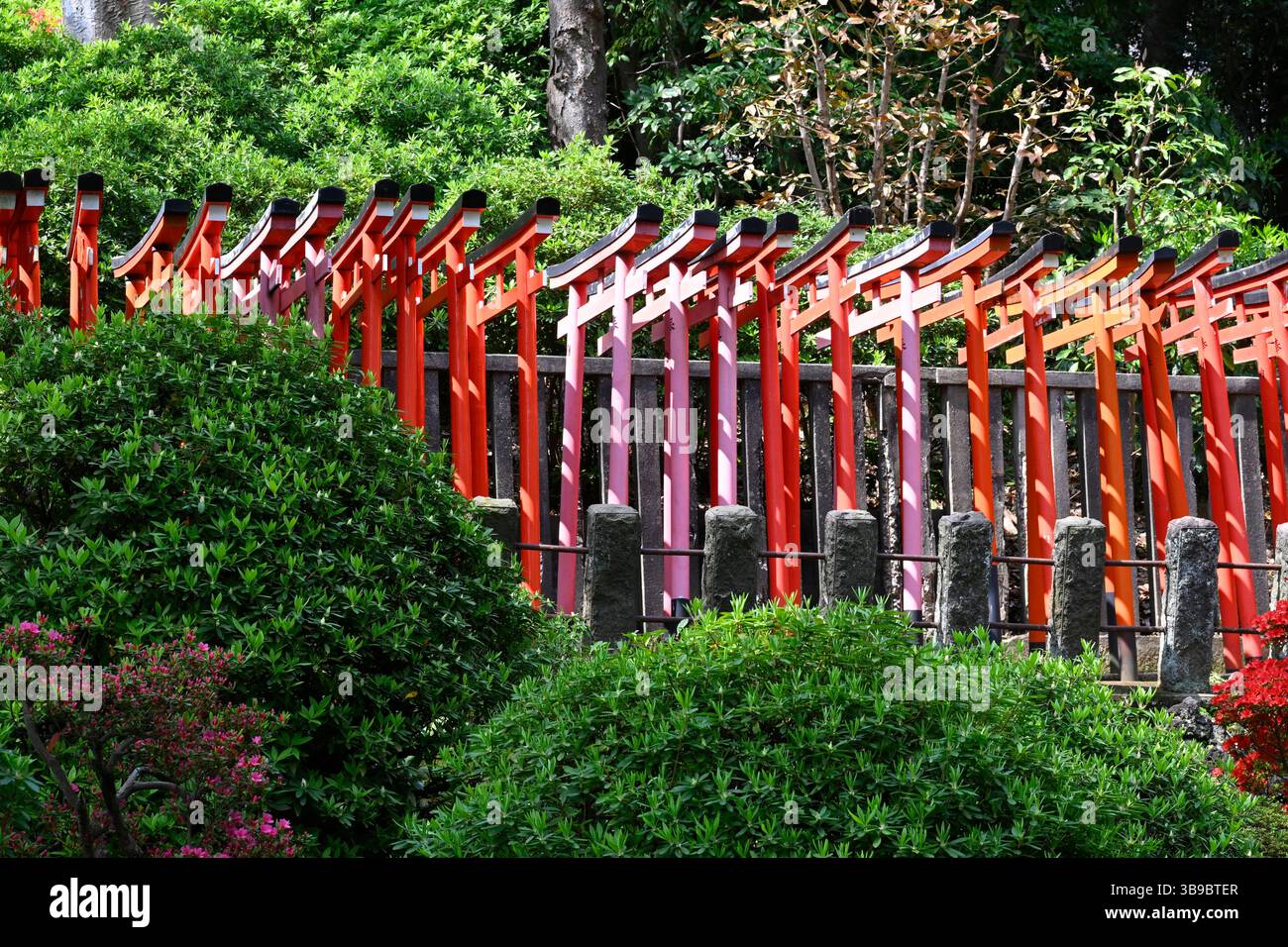 Sanctuaire Nezu Jinja, le célèbre sanctuaire shinto à Tokyo, Japon. Banque D'Images