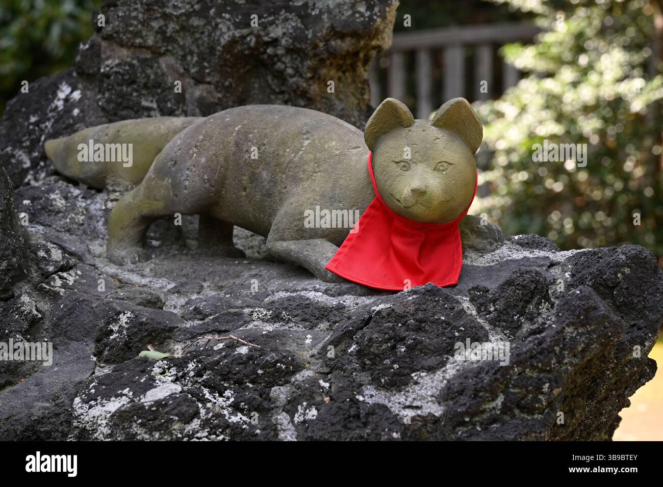 Statue de renard au sanctuaire , sanctuaire shinto Nezu-Jinja, Tokyo, Japon. Banque D'Images