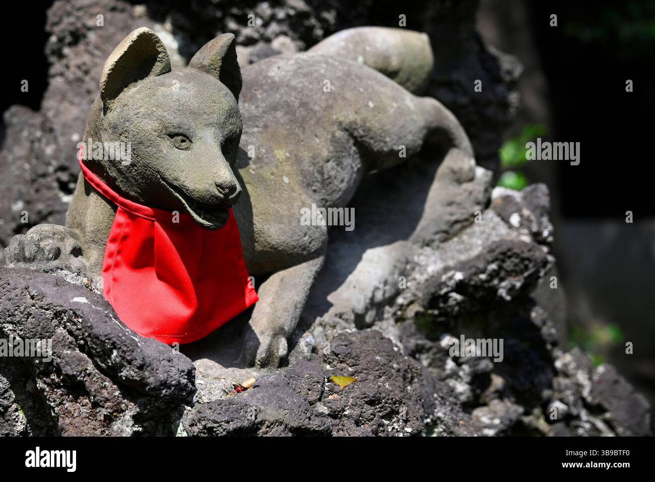 Statue de renard au sanctuaire , sanctuaire shinto Nezu-Jinja, Tokyo, Japon. Banque D'Images