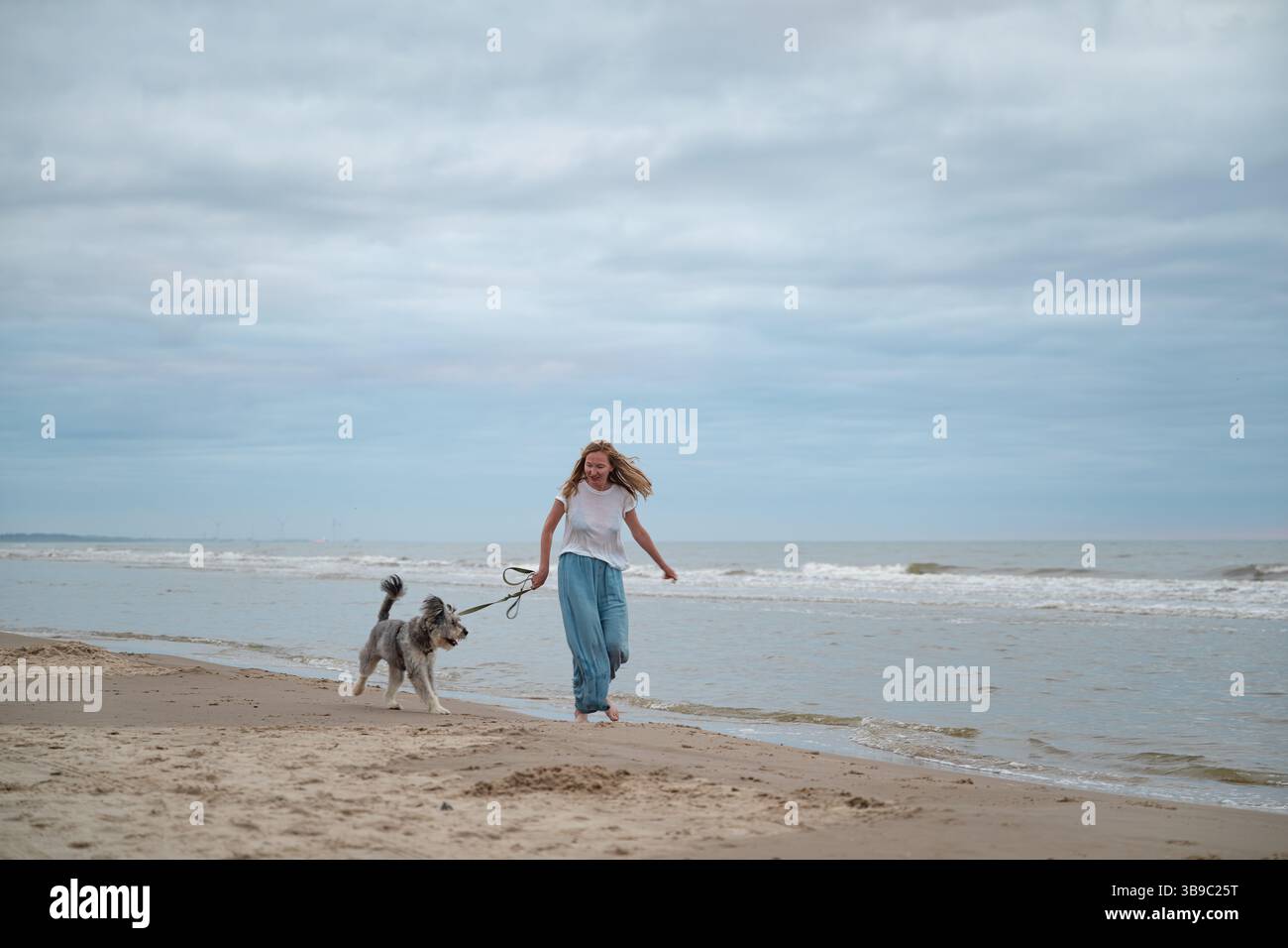 Femme marchant pieds nus avec son chien sur la plage de la mer du Nord, Danemark Banque D'Images