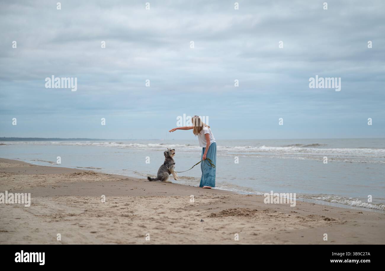 Femme marchant pieds nus avec son chien sur la plage de la mer du Nord, Danemark Banque D'Images