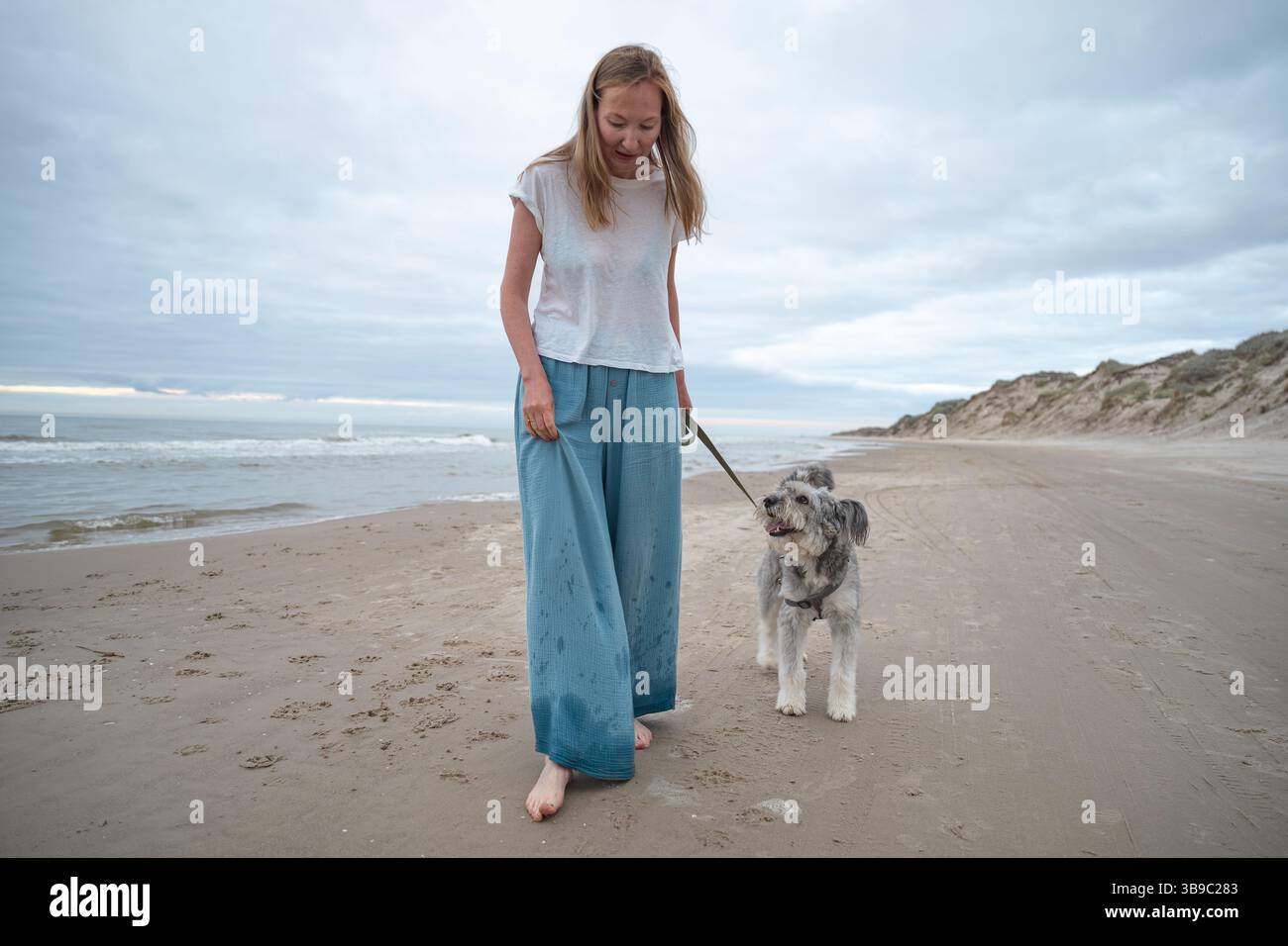 Femme marchant pieds nus avec son chien sur la plage de la mer du Nord, Danemark Banque D'Images