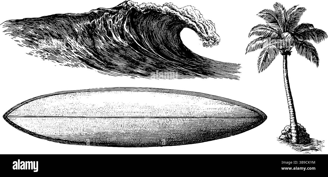 Vintage gravé ensemble de planche de surf, vague de l'océan, et palmier pour les dessins de plage. Illustration de Vecteur