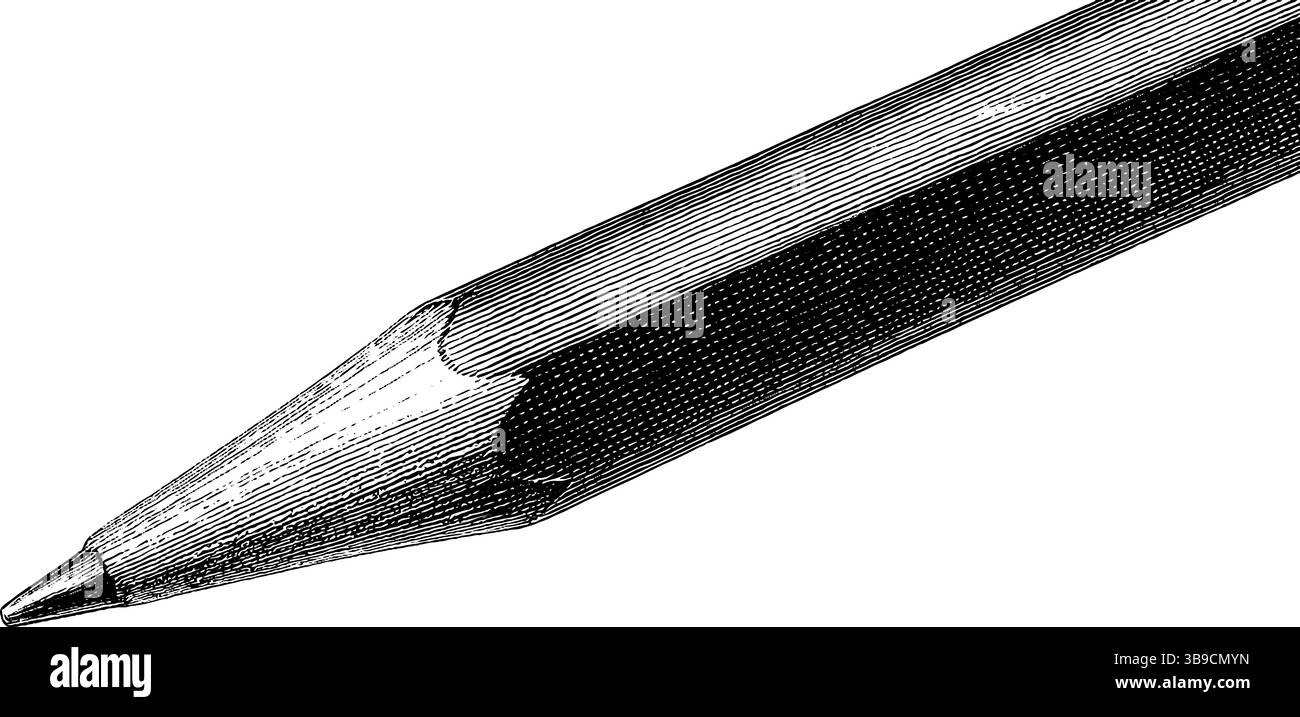 Illustration au crayon gravé avec des lignes grasses noires détaillées pour l'art et les concepts de design. Illustration de Vecteur