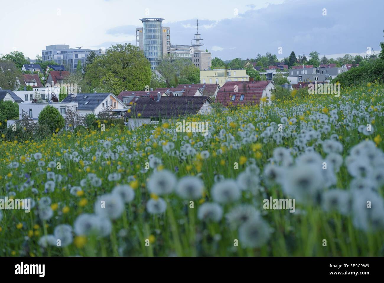 Vue d'un pré de printemps au siège de Bausparkasse Schwaebisch Hall, société du bâtiment, prestataire de services, société de services, économie, service Banque D'Images