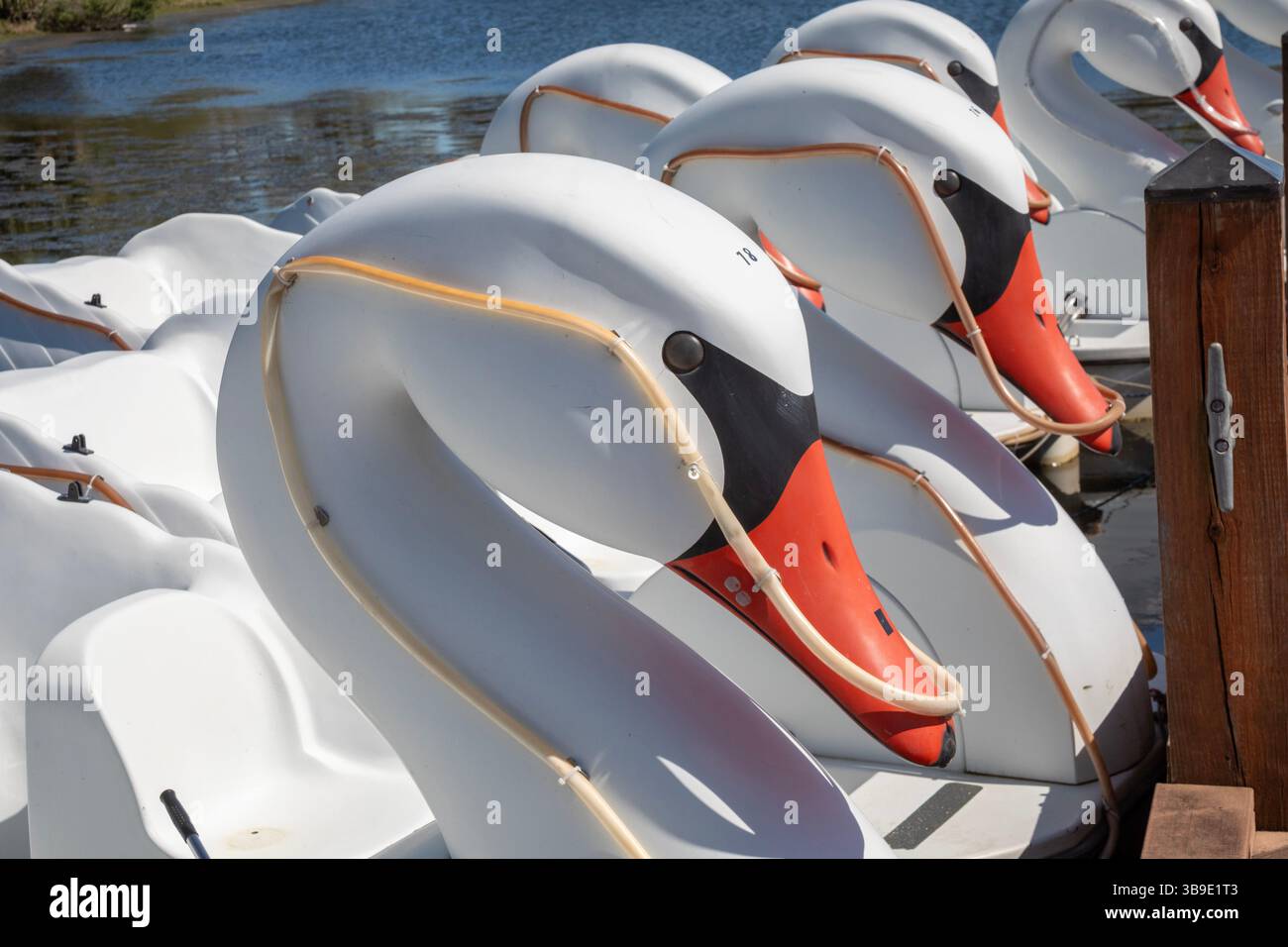 La Nouvelle-Orléans, Louisiane - Location de bateaux cygnes sur Big Lake dans le parc municipal de la Nouvelle-Orléans. Banque D'Images