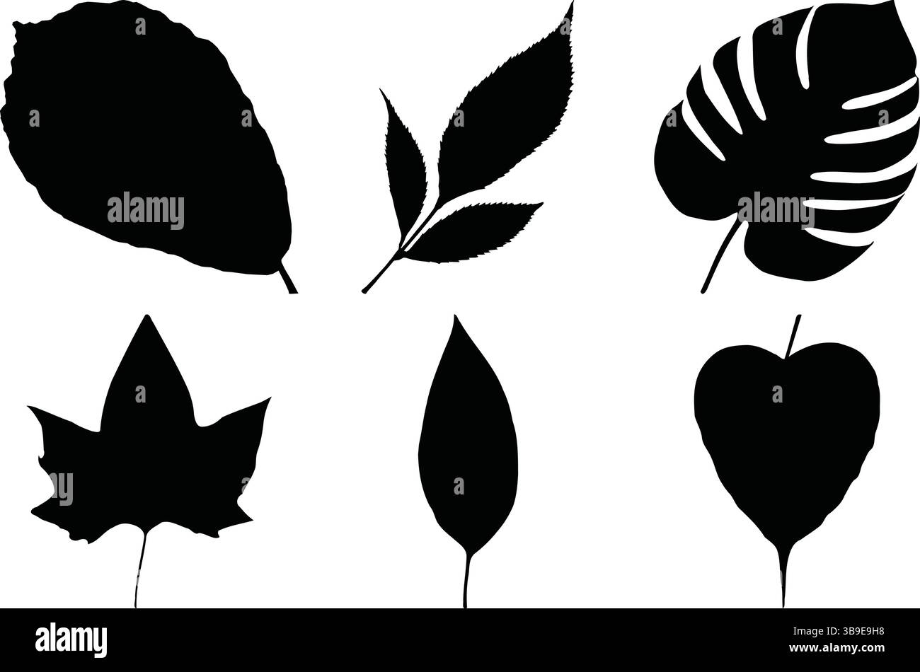 Ensemble de six silhouettes de feuilles distinctes représentant différentes espèces végétales, idéal pour les dessins botaniques, les thèmes de la nature et les visuels liés à l'environnement Illustration de Vecteur