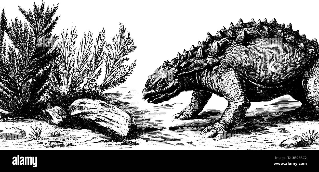 Ankylosaure gravé et illustration de roche avec des plantes préhistoriques pour la conception éducative. Illustration de Vecteur