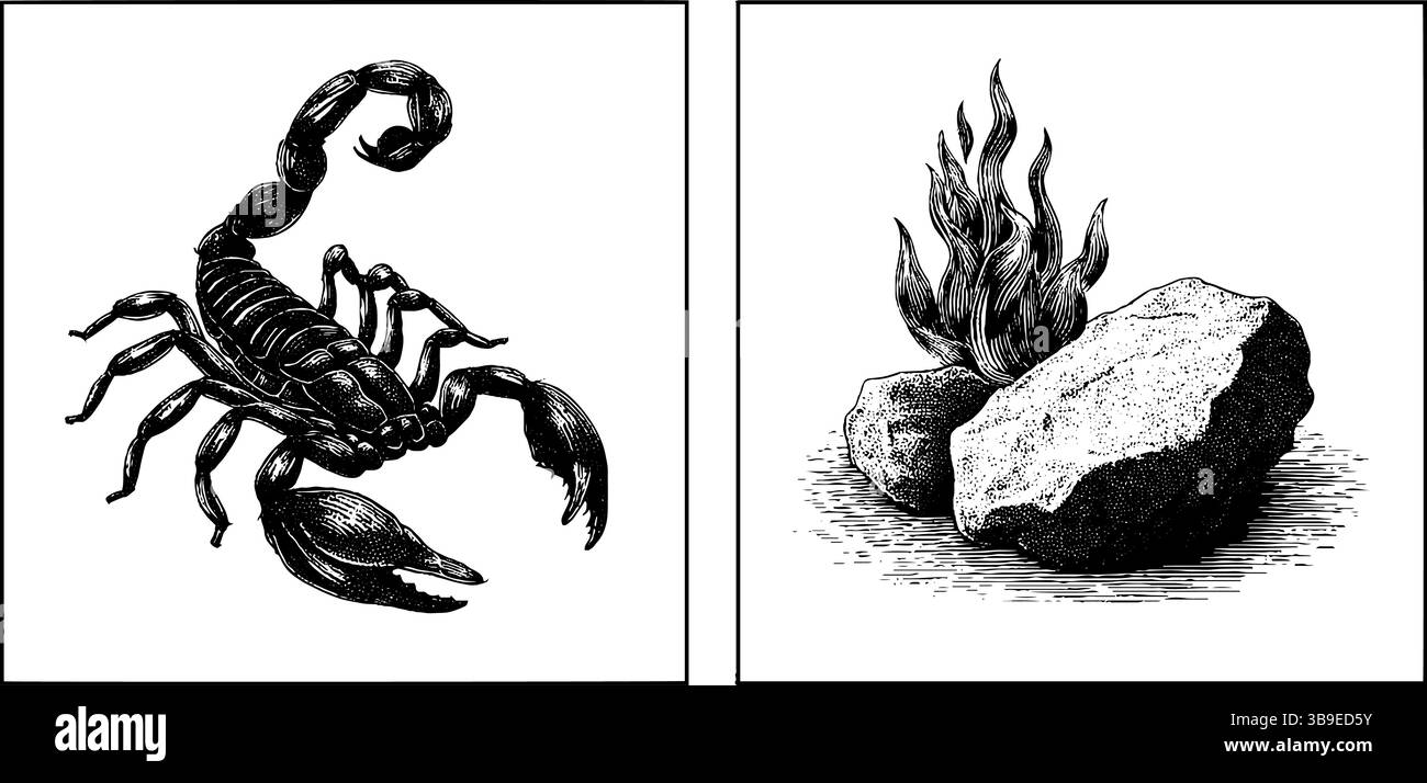 Ensemble d'illustration gravé vintage de scorpion et de flammes pour l'art de tatouage et la conception. Illustration de Vecteur