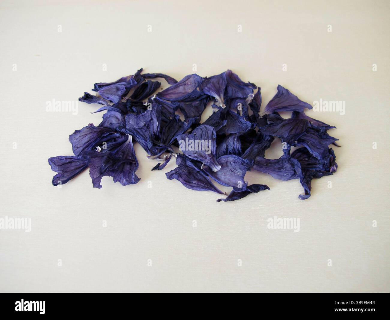 Fleurs de mauve séchées, fleurs de mauve, sur une planche de bois Banque D'Images